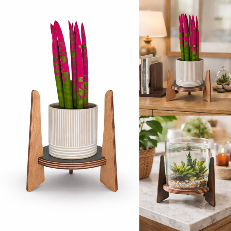 The Circle Planter Stand – Marine Ply (200 mm)